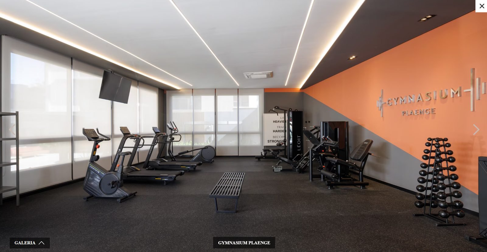 Academia Gymnasium Plaenge
